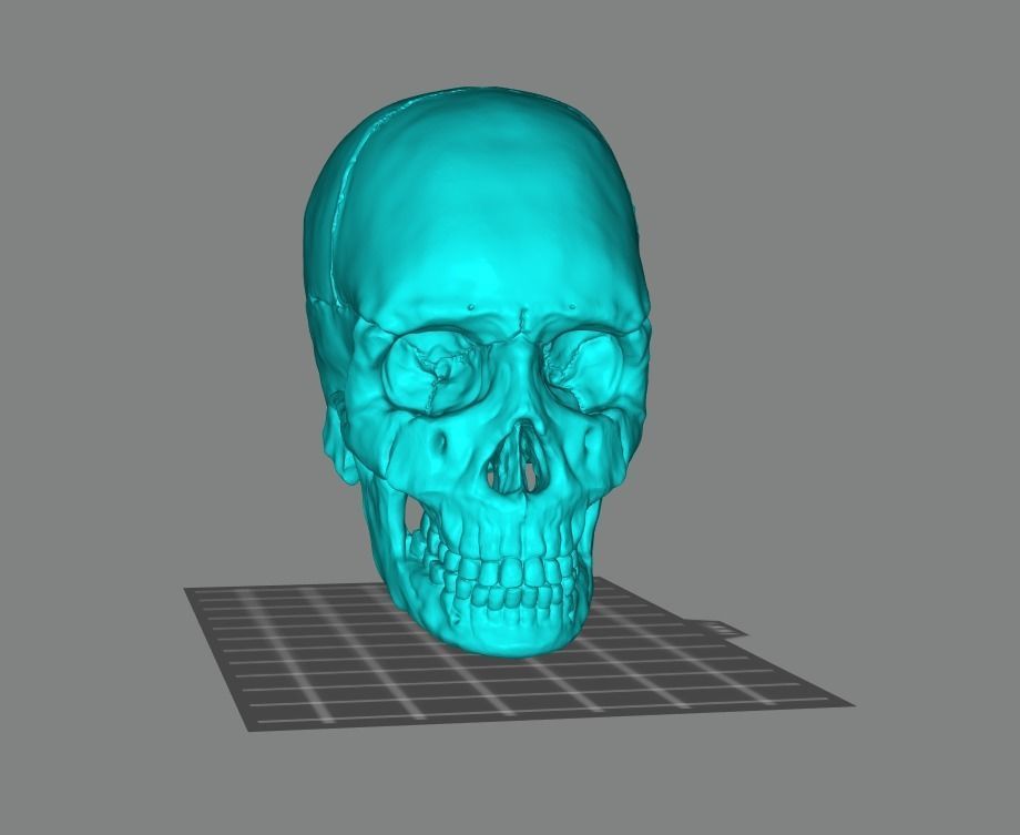 Skull human 3D print model_12