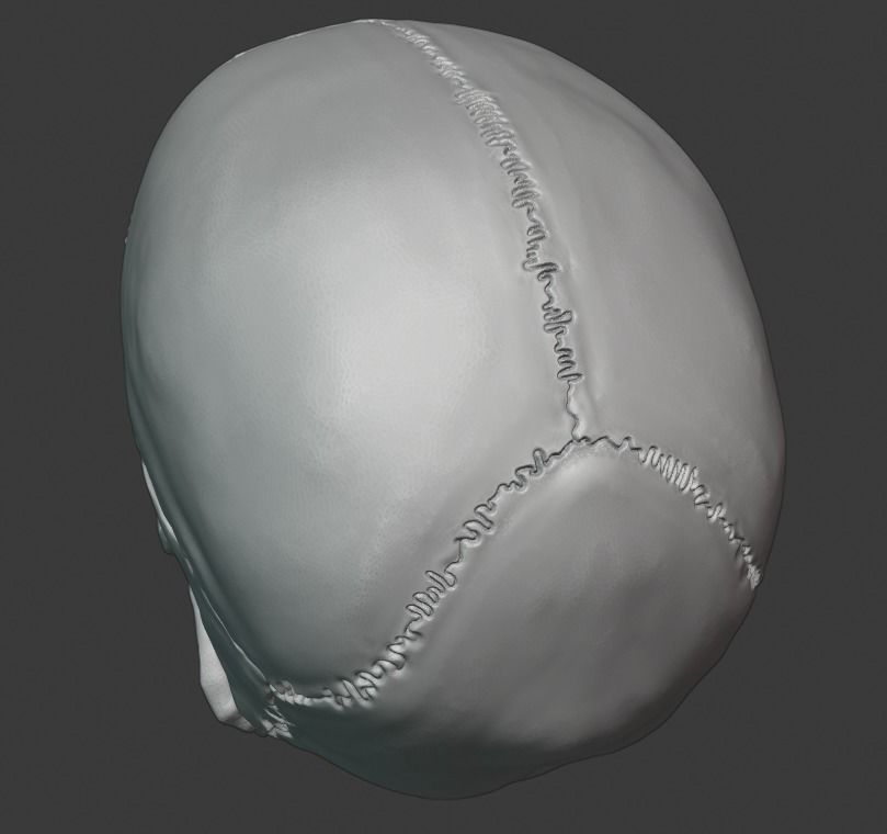 Skull human 3D print model_10