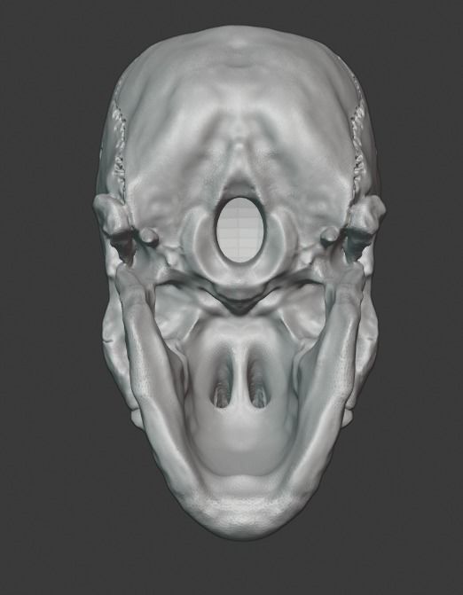 Skull human 3D print model_8