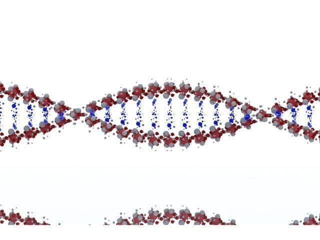DNA model 3 strand 3D model_1