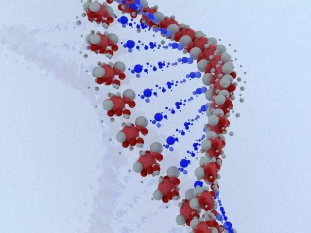 DNA model 3 strand 3D model_0