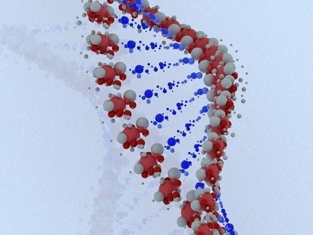 DNA model 3 strand 3D model
