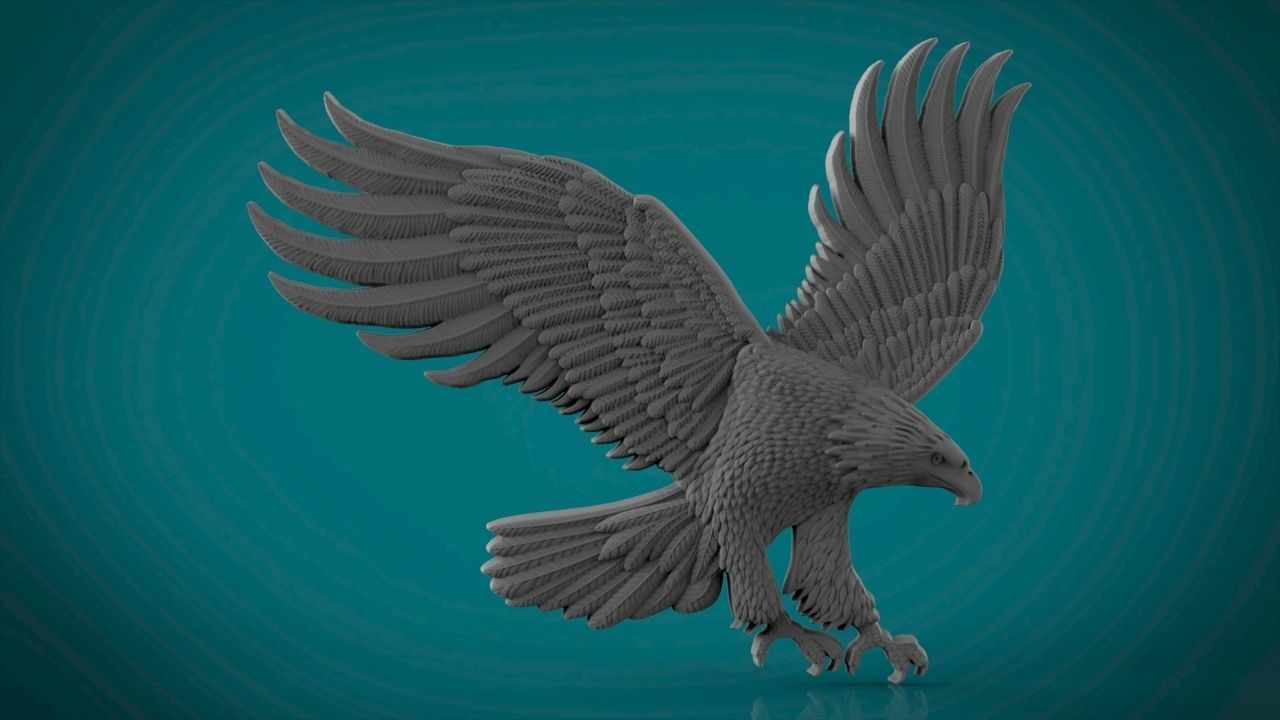 Eagle in flight - 2 3D print model_1
