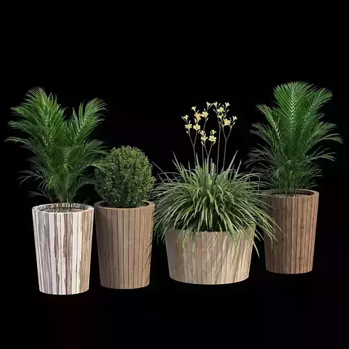 Tennis four potted plants