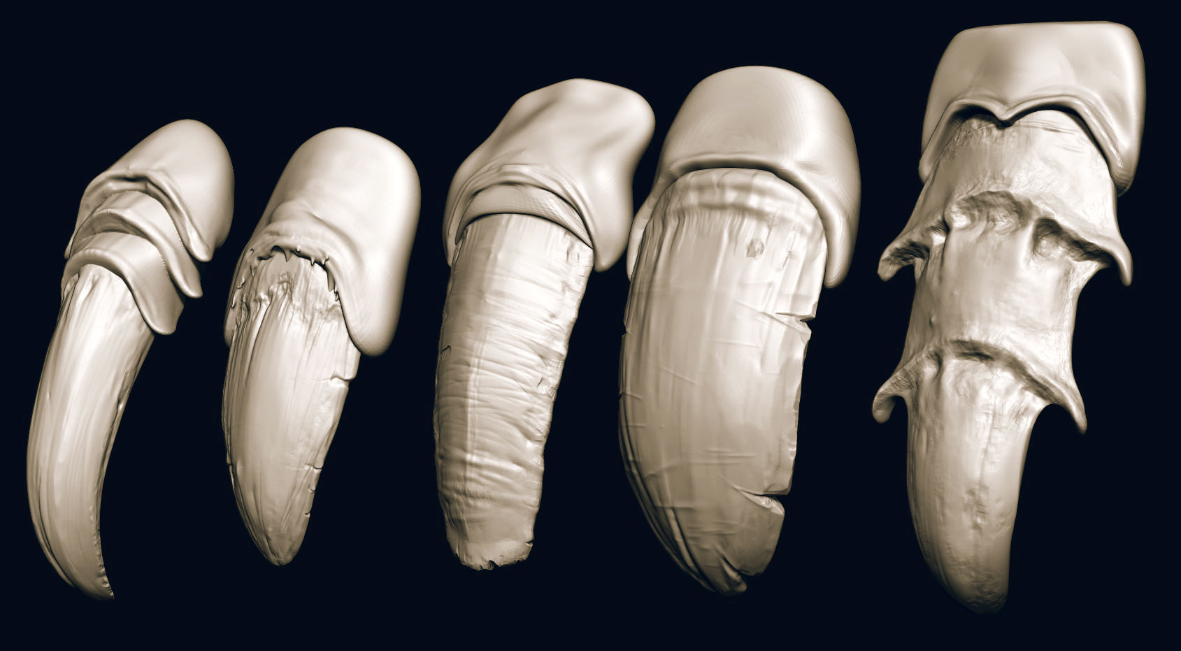 NAILS - 24 Character and Creature Nails 3D model_12