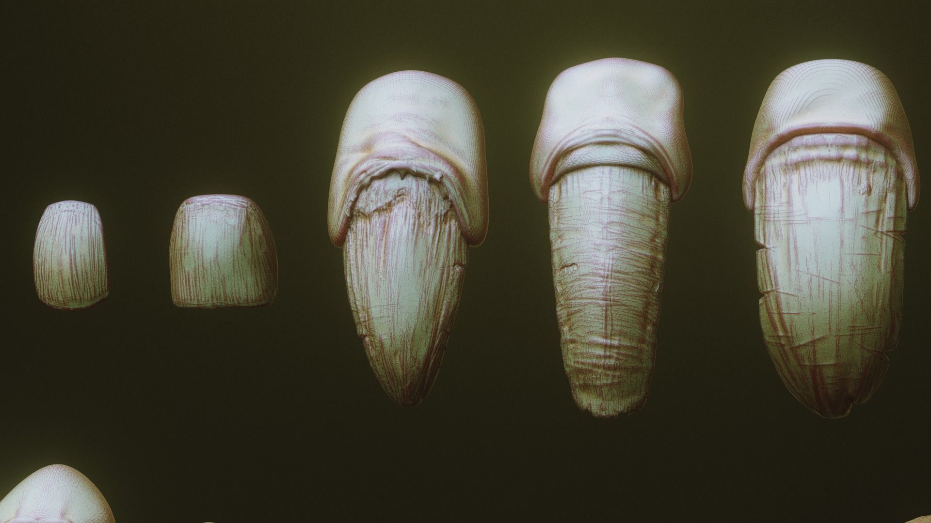 NAILS - 24 Character and Creature Nails 3D model_3