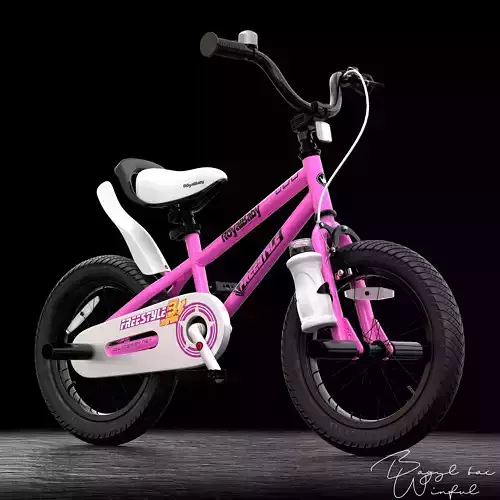 Royal Baby Kids BMX Bike