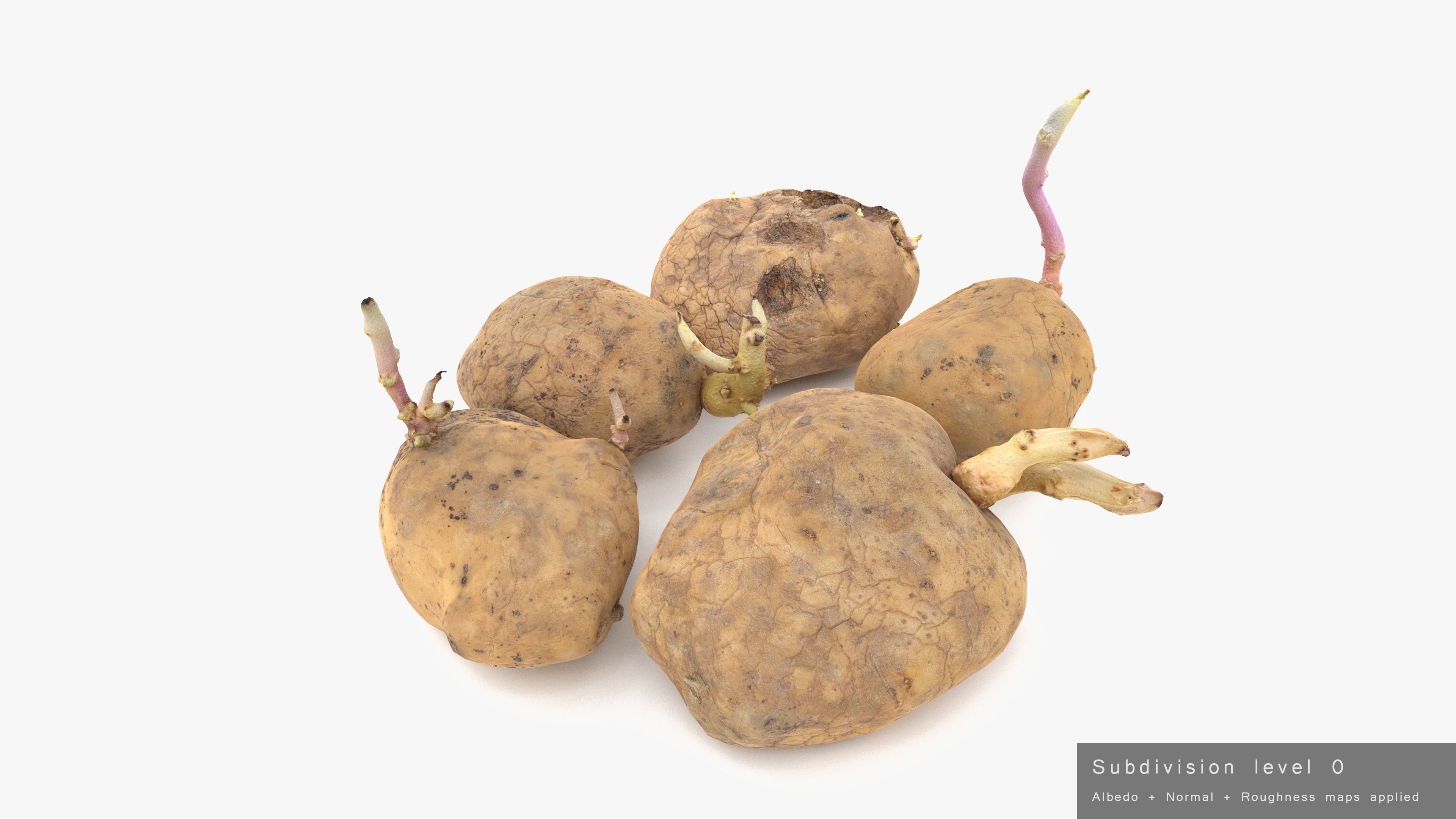 Old Potatoes with Sprouts Low-poly 3D model_23