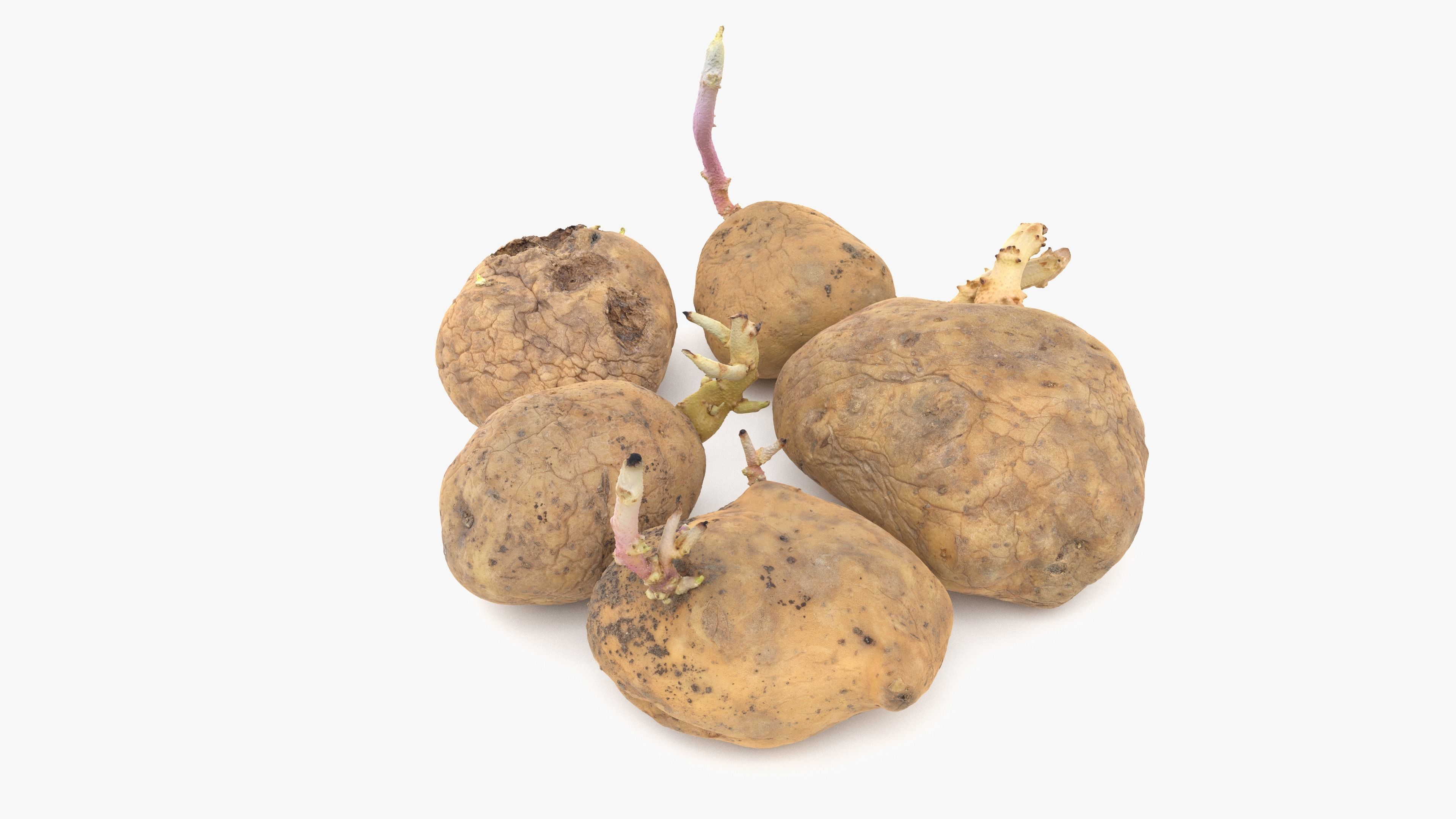 Old Potatoes with Sprouts Low-poly 3D model_17
