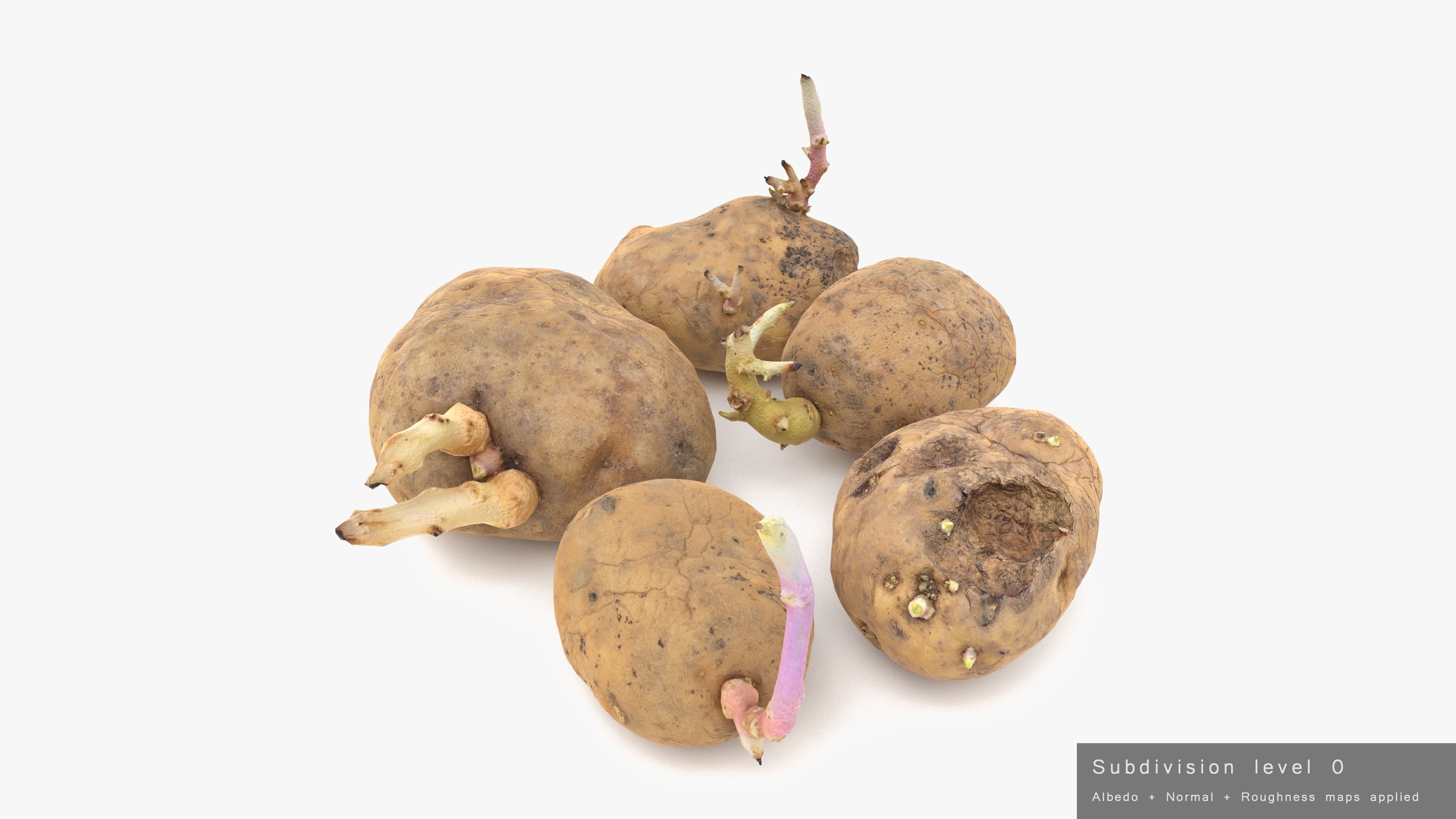 Old Potatoes with Sprouts Low-poly 3D model_21