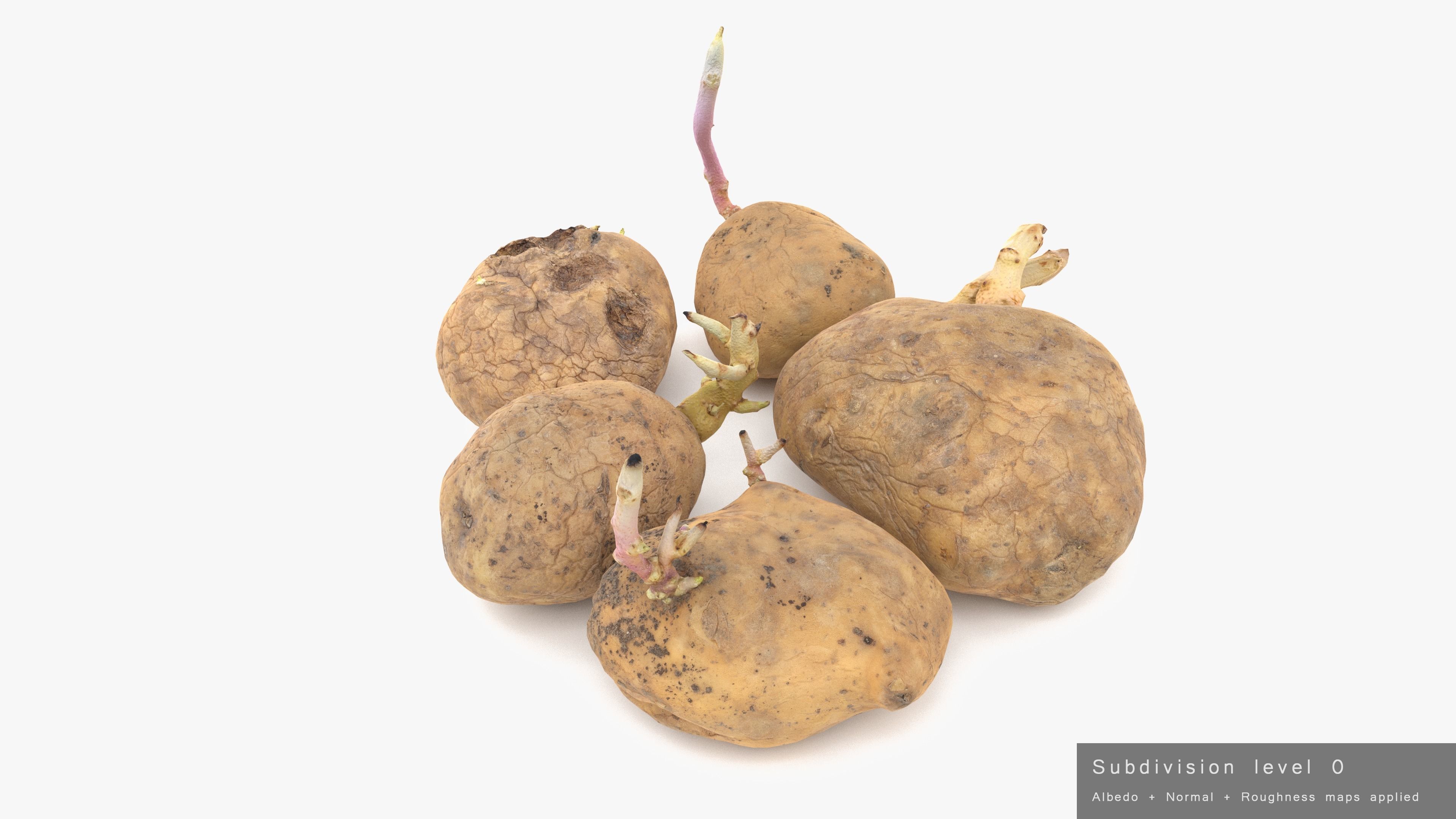 Old Potatoes with Sprouts Low-poly 3D model_24