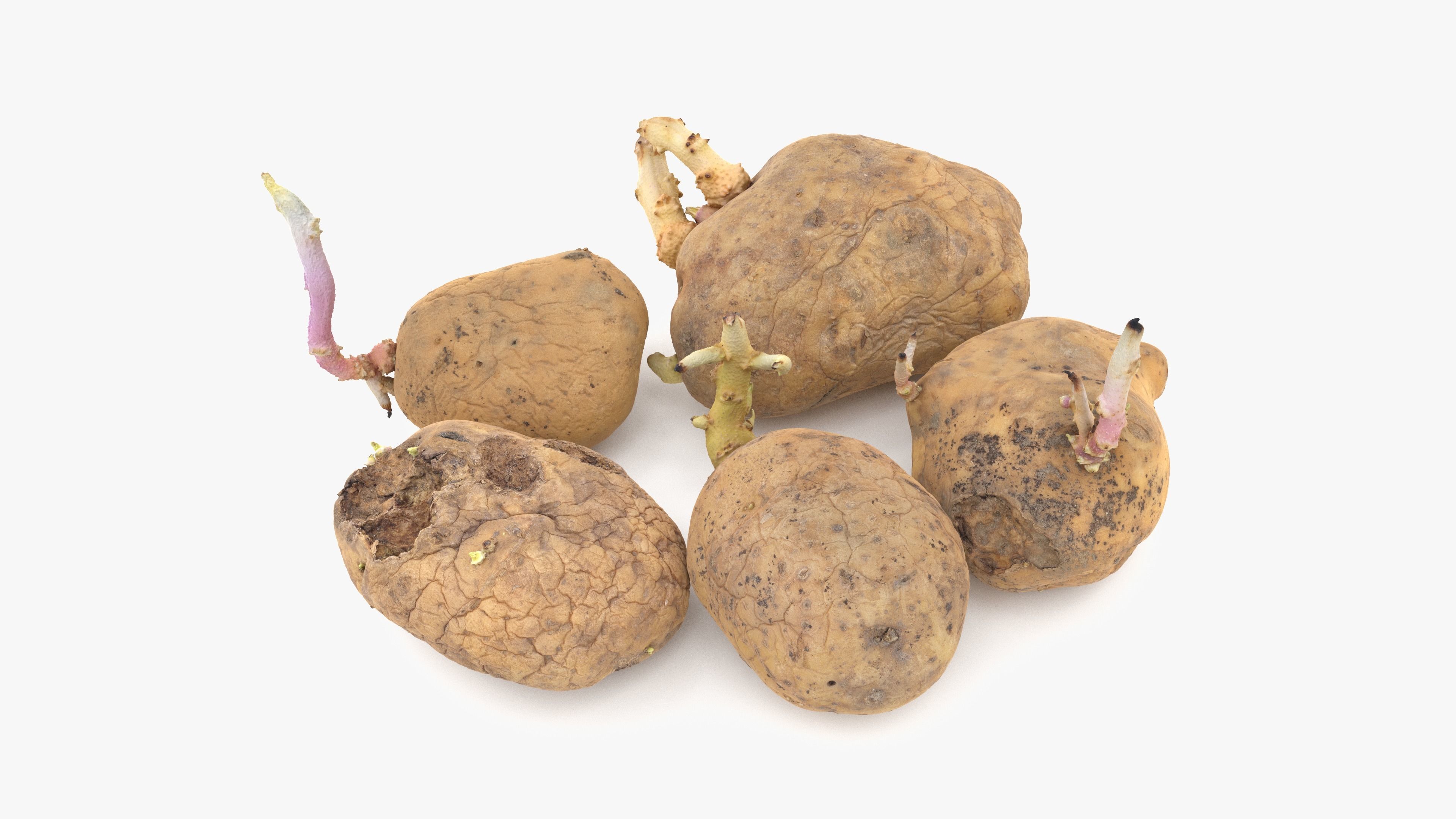 Old Potatoes with Sprouts Low-poly 3D model_2