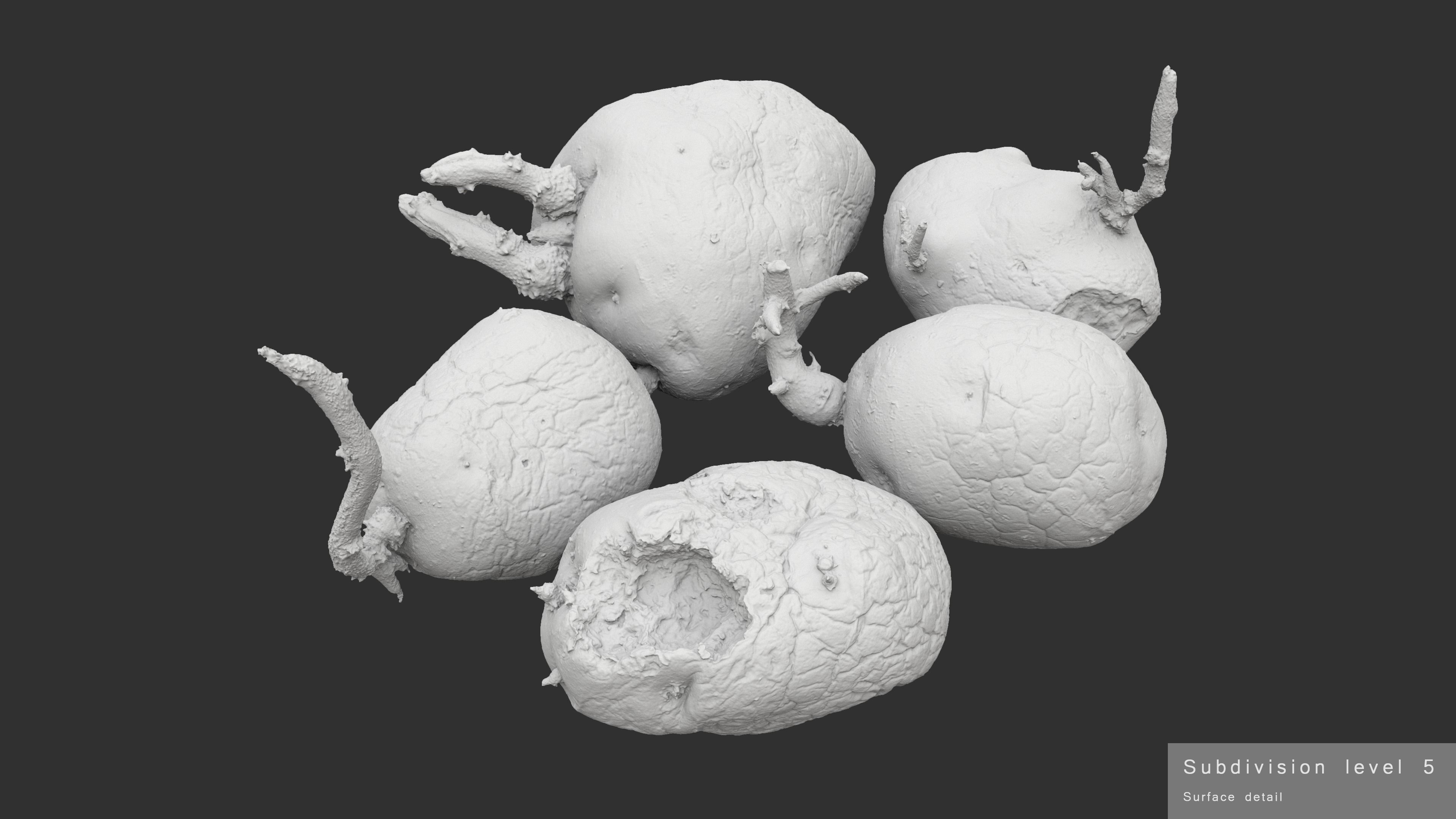 Old Potatoes with Sprouts Low-poly 3D model_18