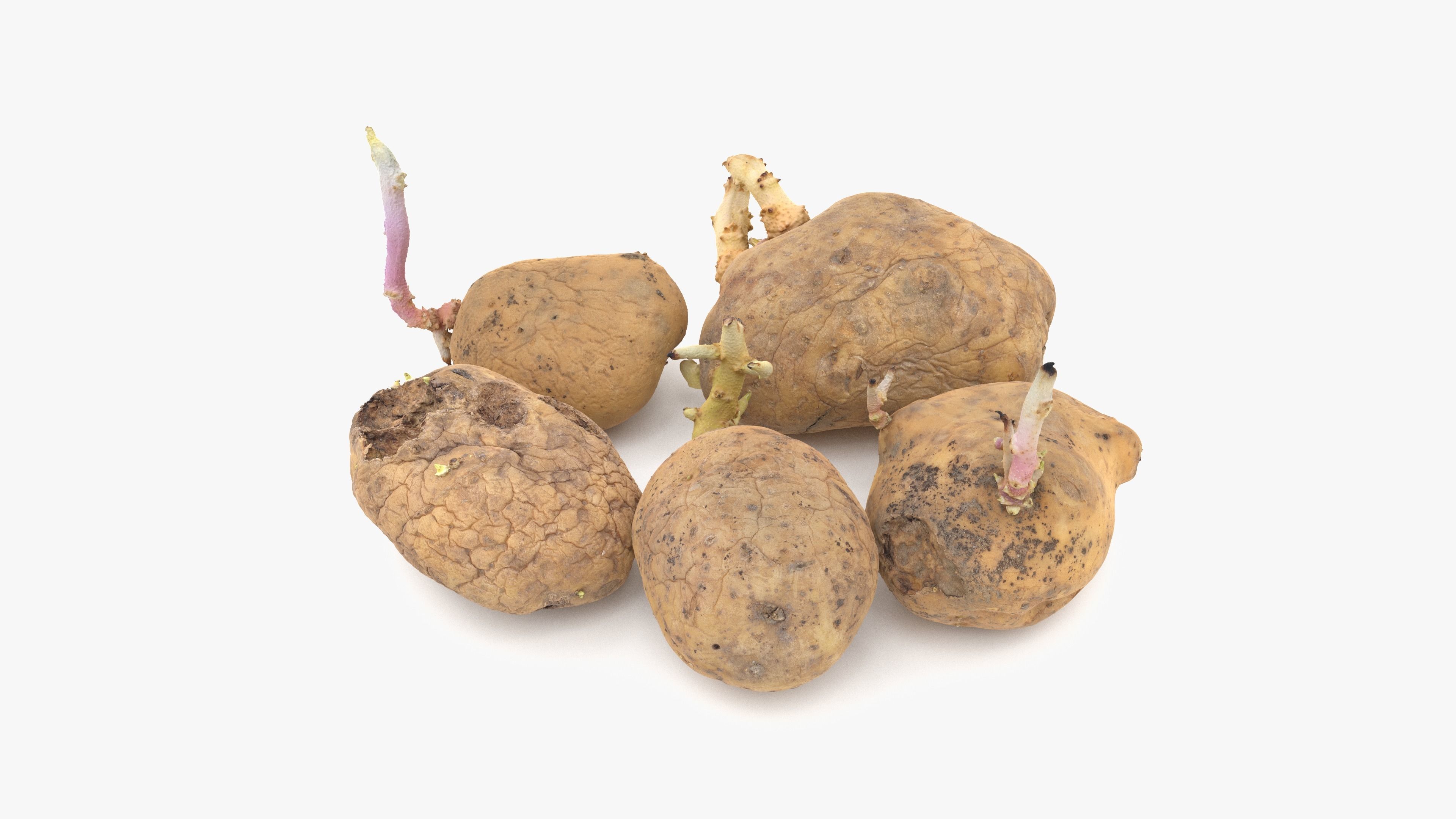 Old Potatoes with Sprouts Low-poly 3D model_12