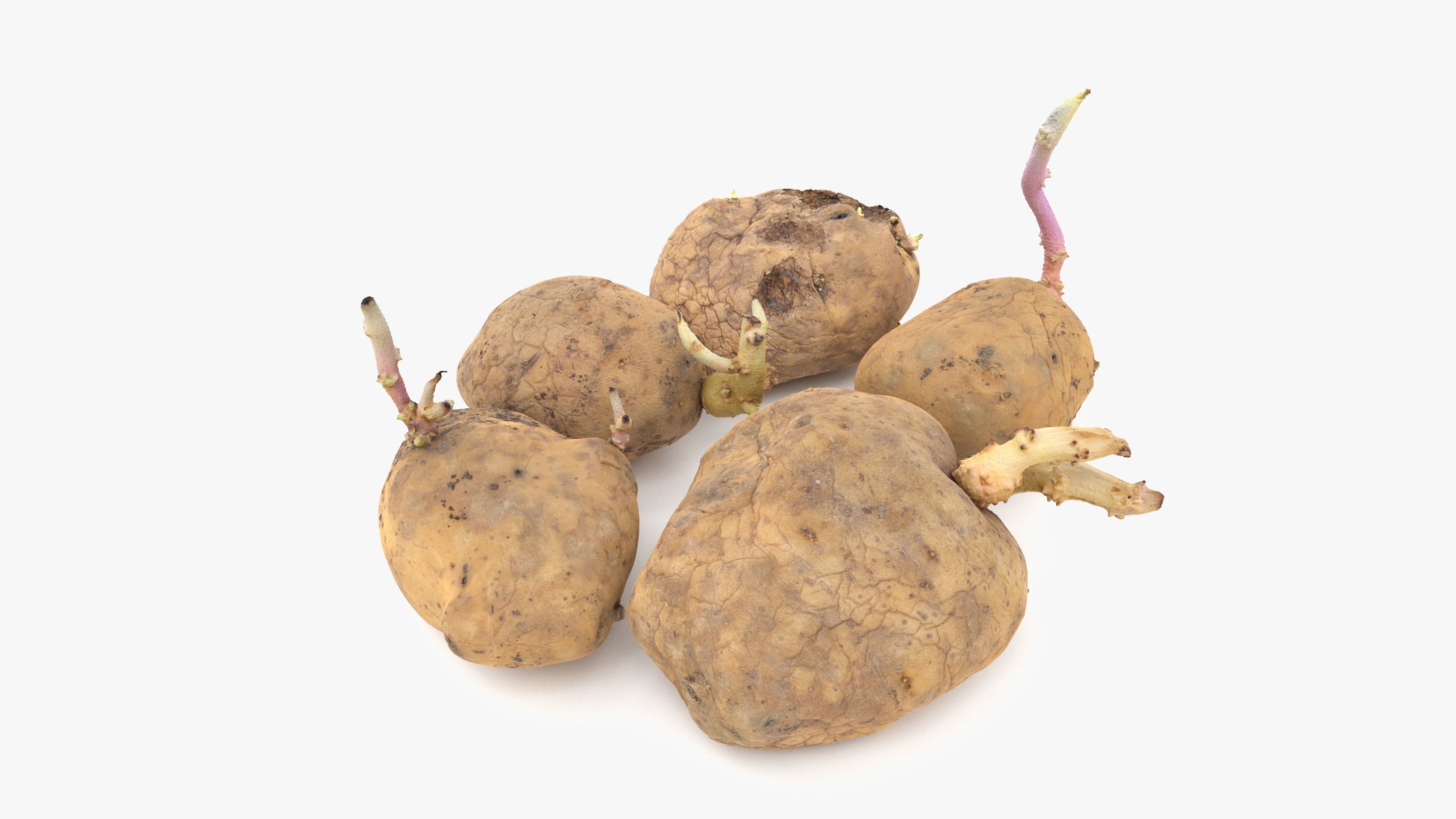 Old Potatoes with Sprouts Low-poly 3D model_16