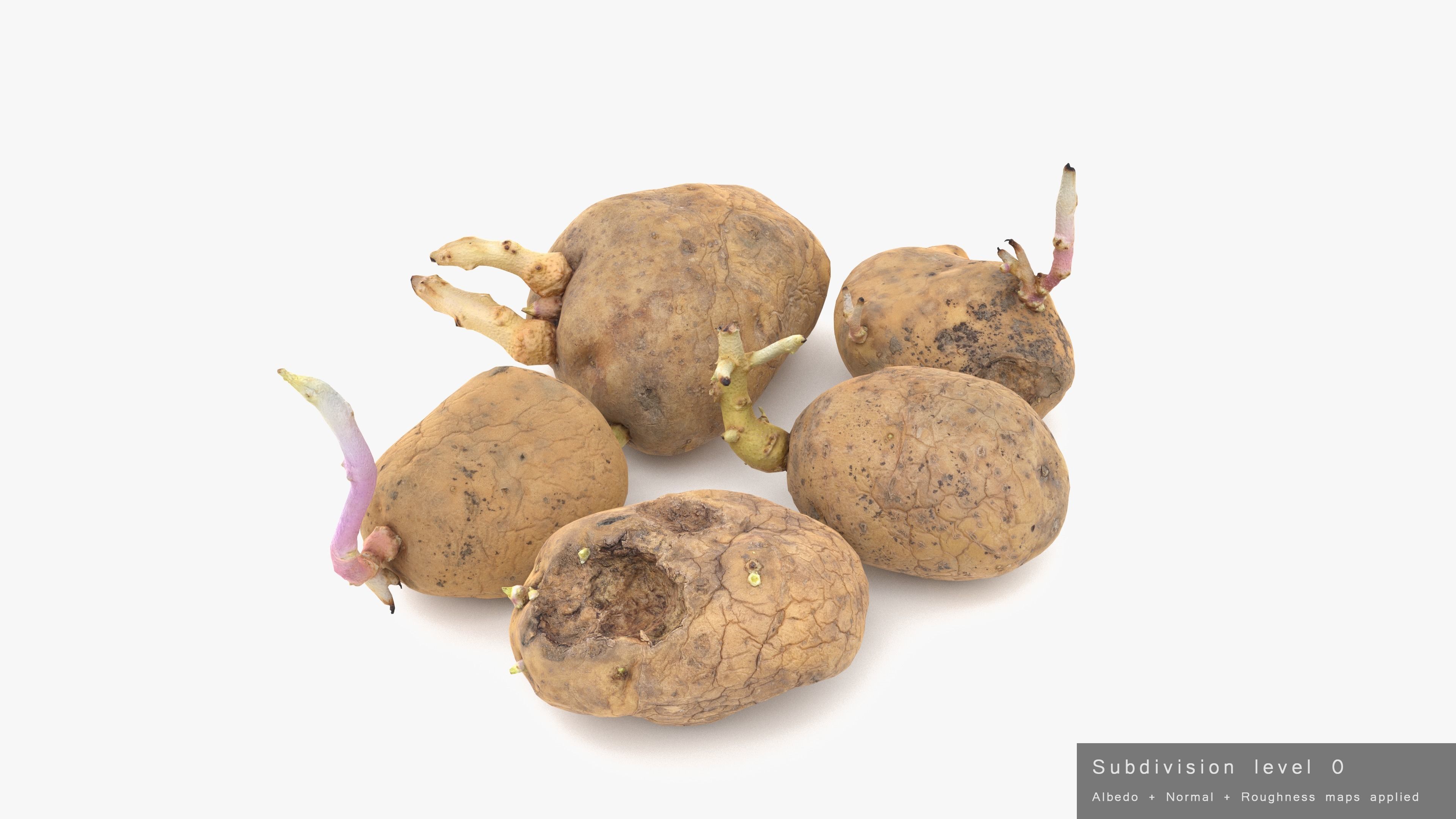 Old Potatoes with Sprouts Low-poly 3D model_20