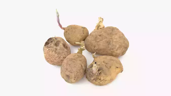 Old Potatoes with Sprouts Low-poly 3D model