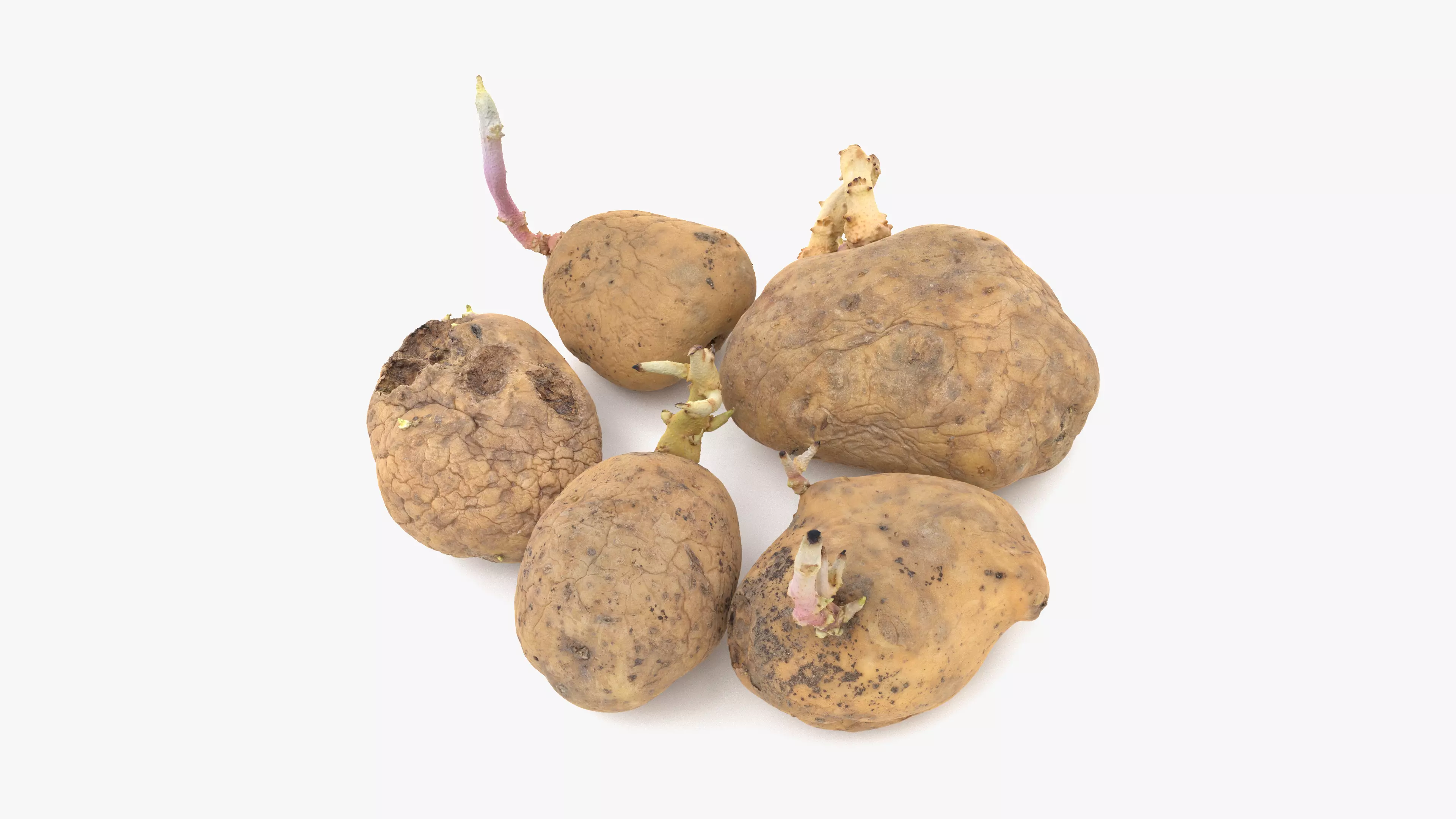 Old Potatoes with Sprouts Low-poly 3D model_0
