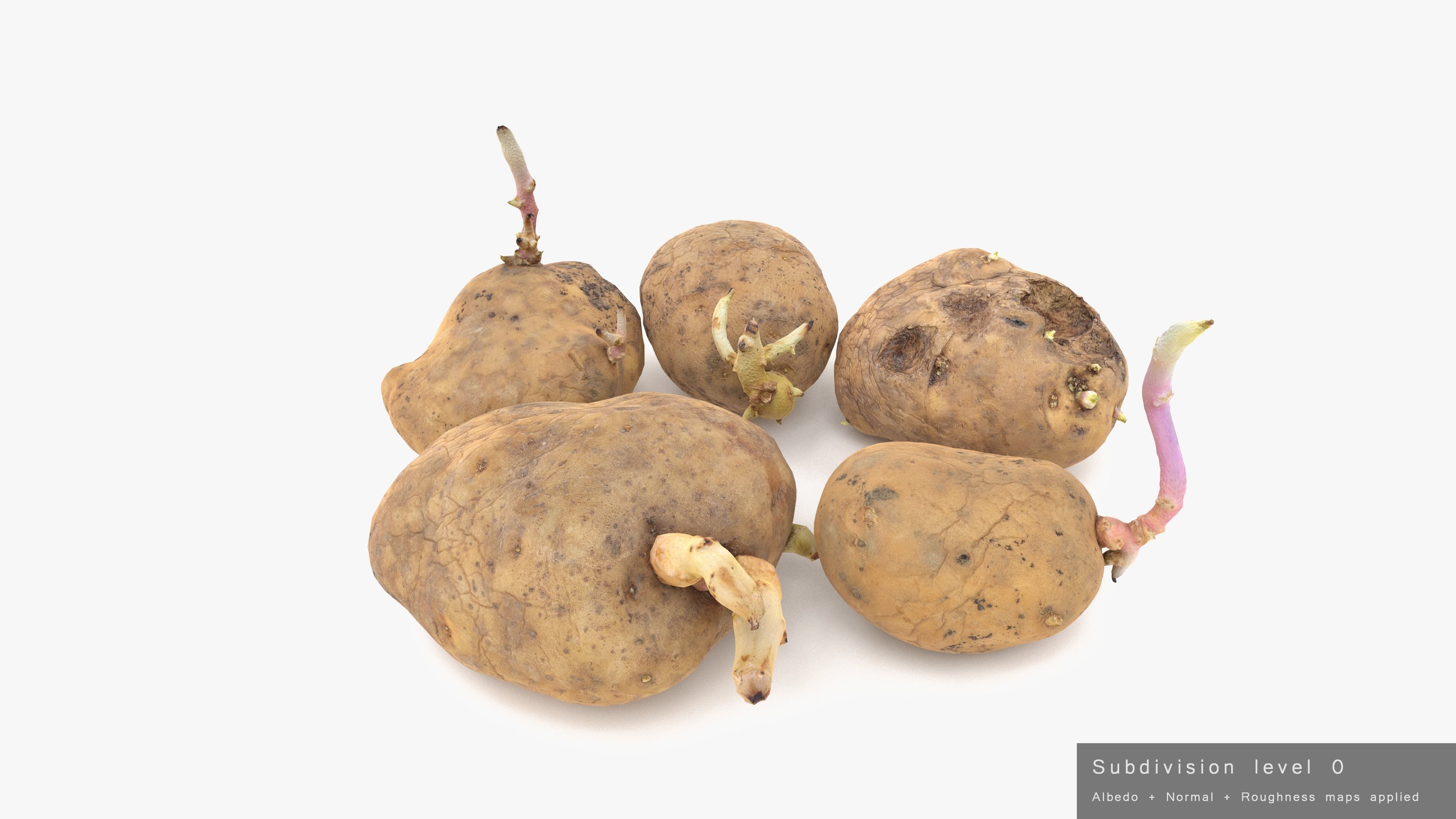 Old Potatoes with Sprouts Low-poly 3D model_22
