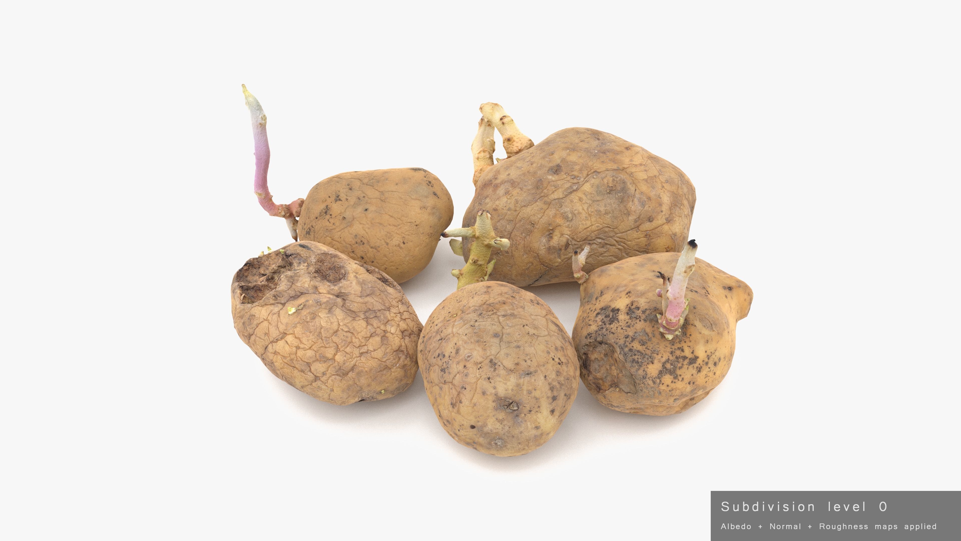 Old Potatoes with Sprouts Low-poly 3D model_19
