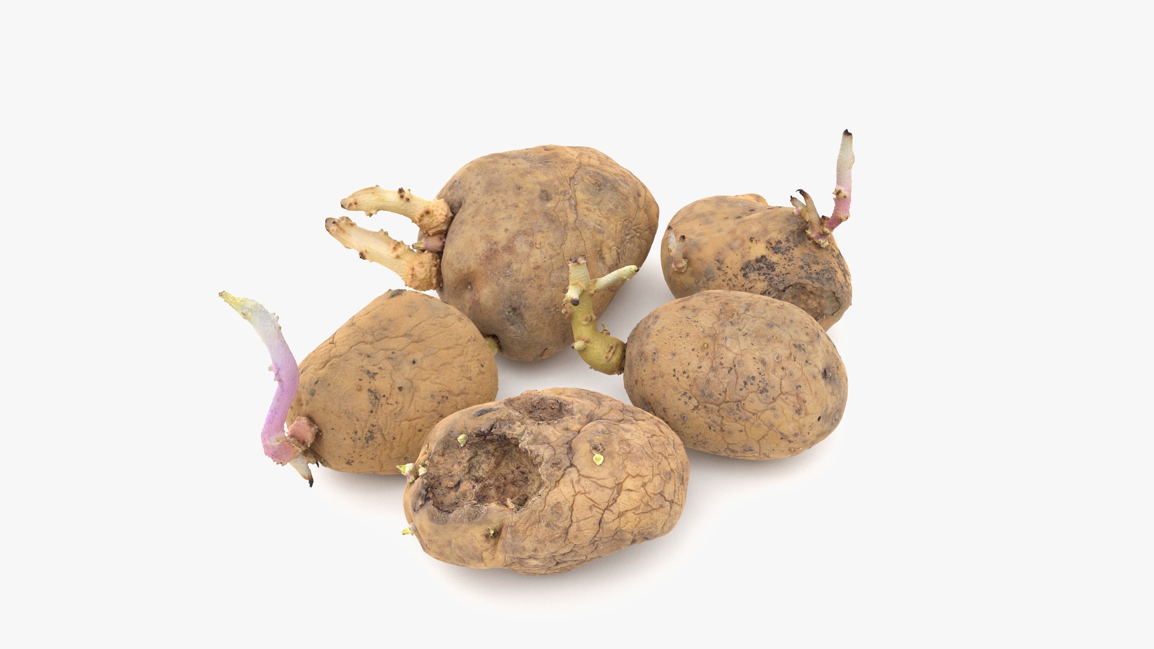 Old Potatoes with Sprouts Low-poly 3D model_13