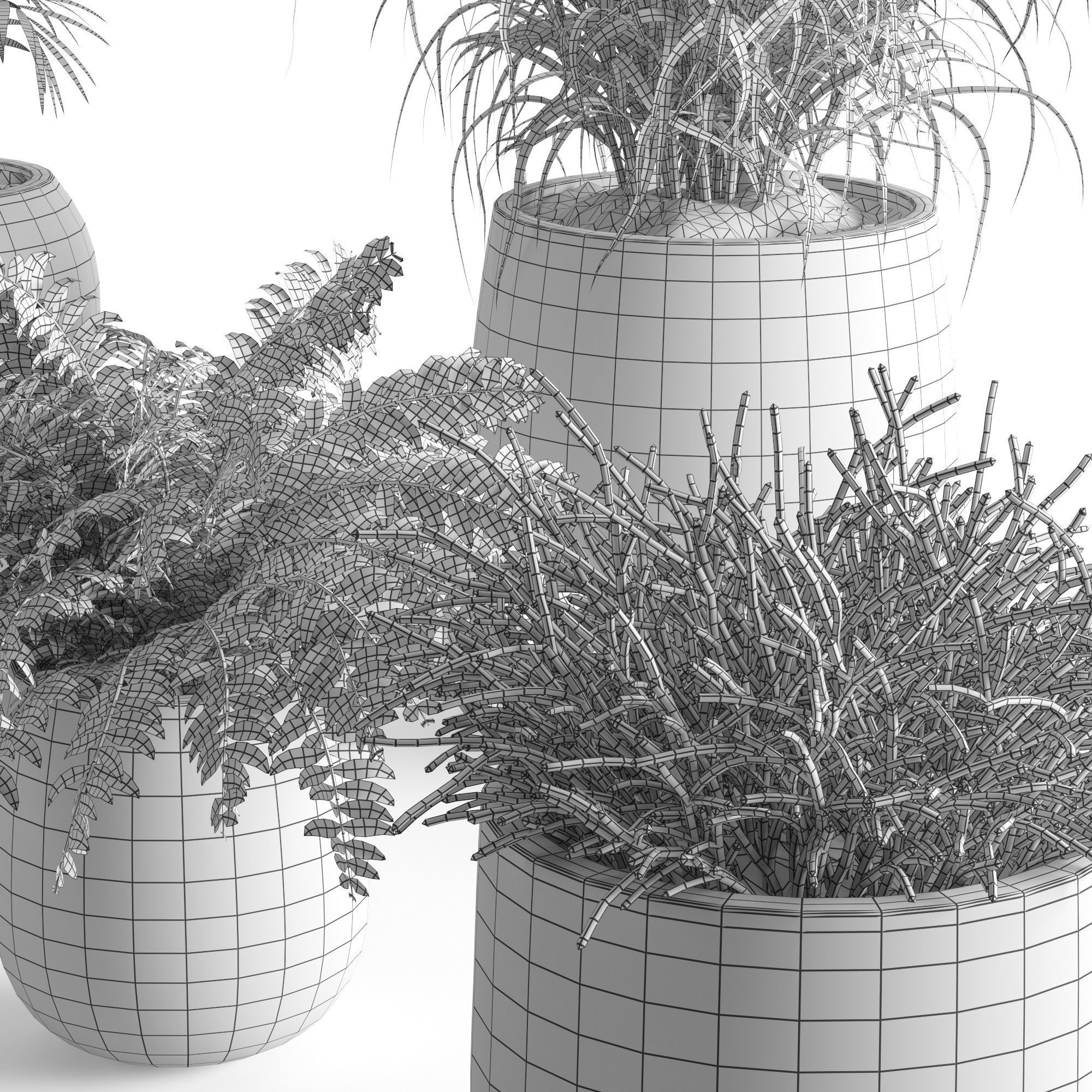 Houseplant 40 3D model_12