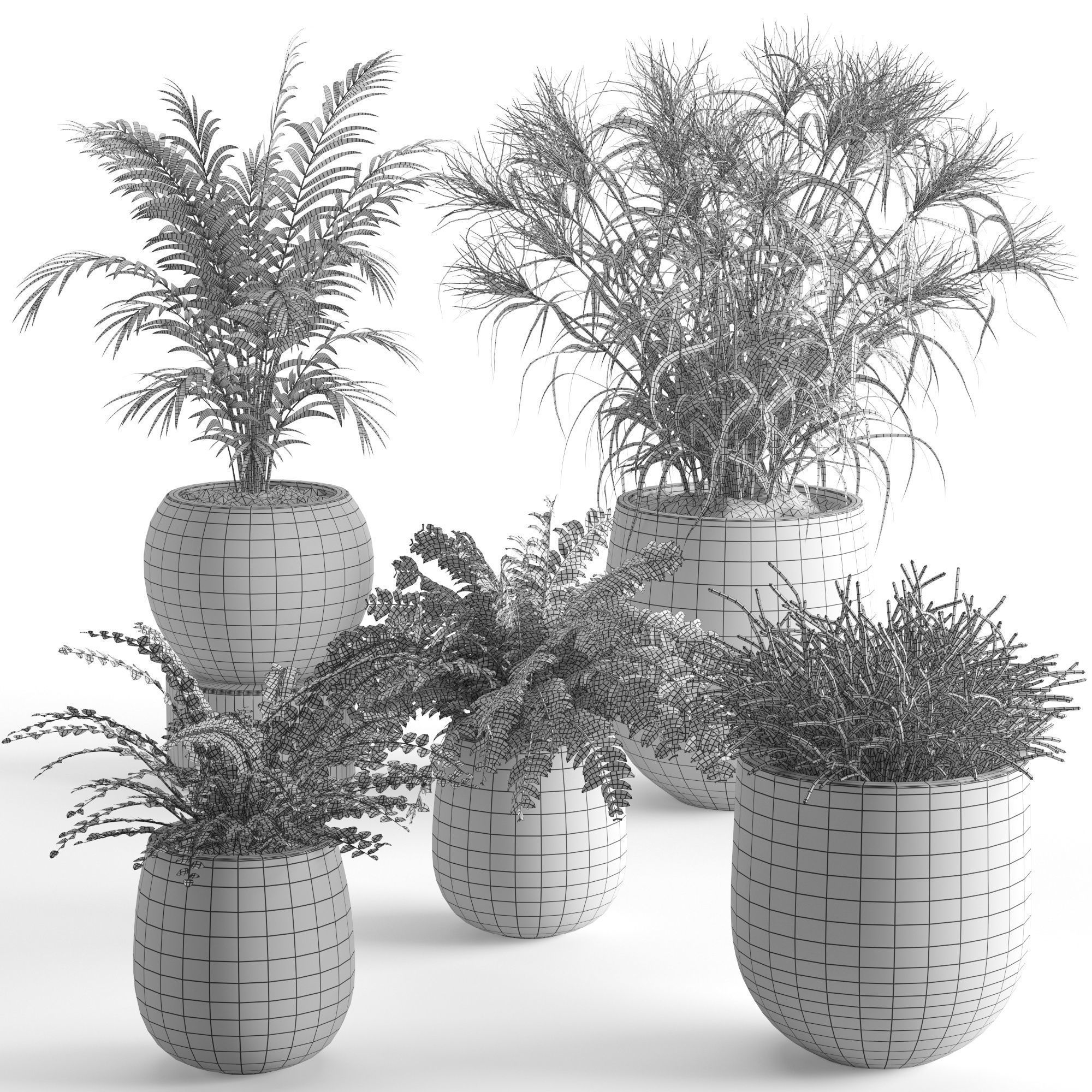 Houseplant 40 3D model_8