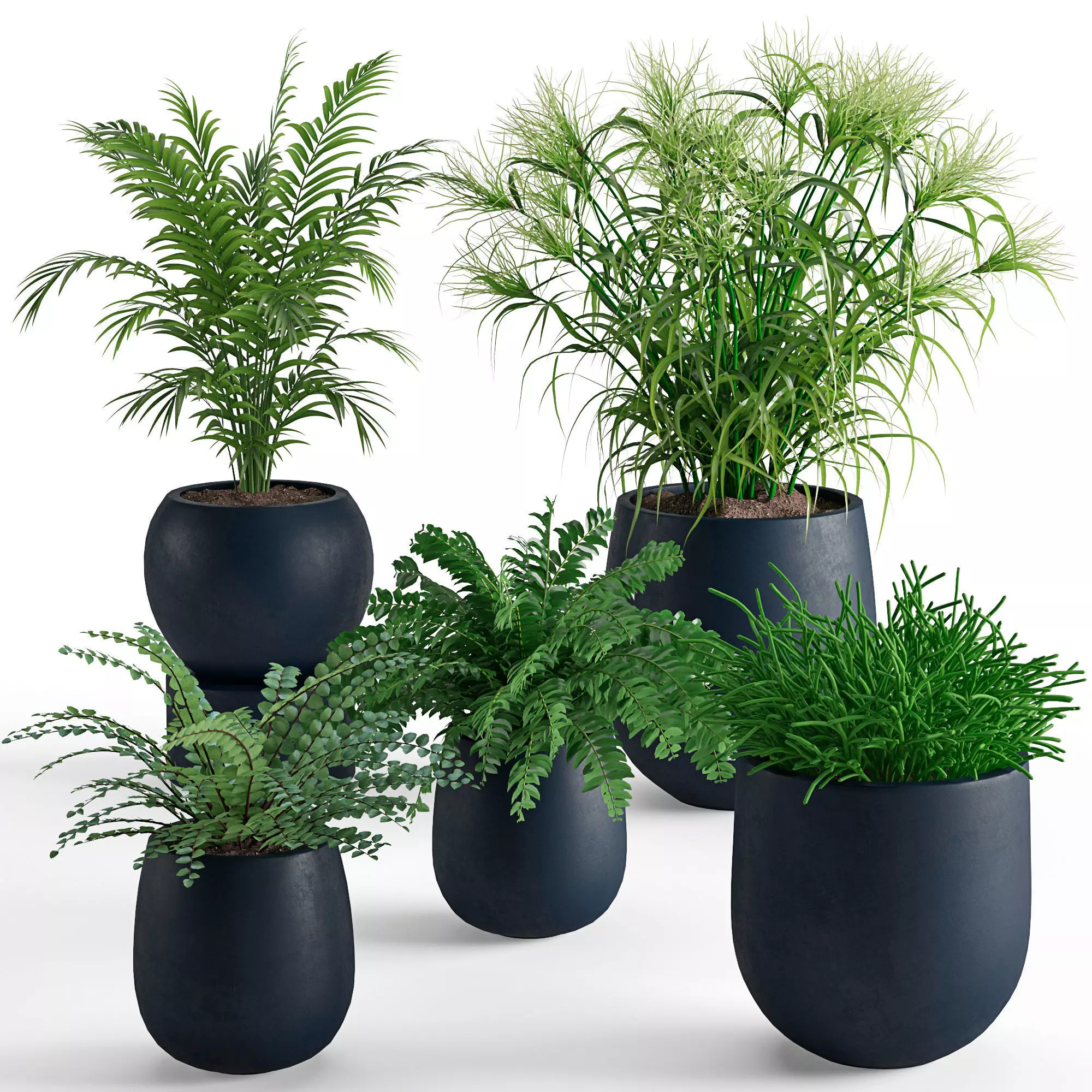 Houseplant 40 3D model_0