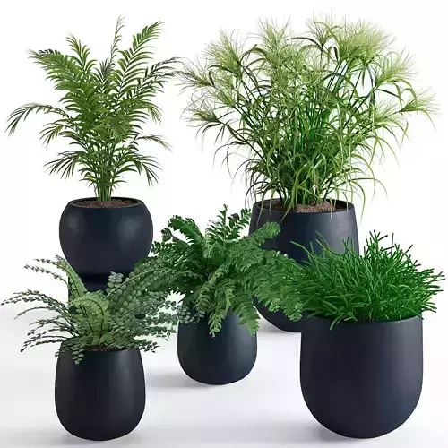 Houseplant 40 3D model