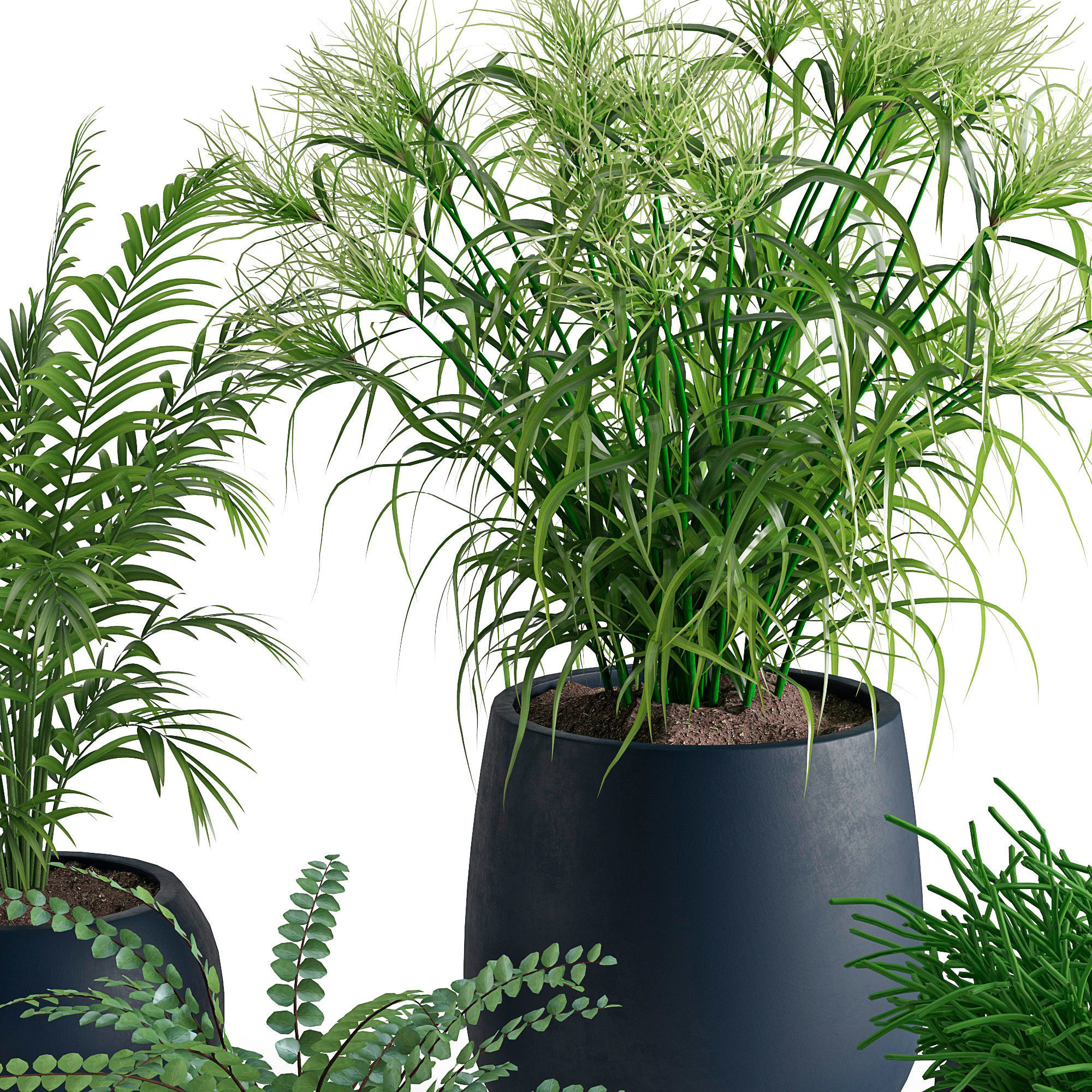 Houseplant 40 3D model_5