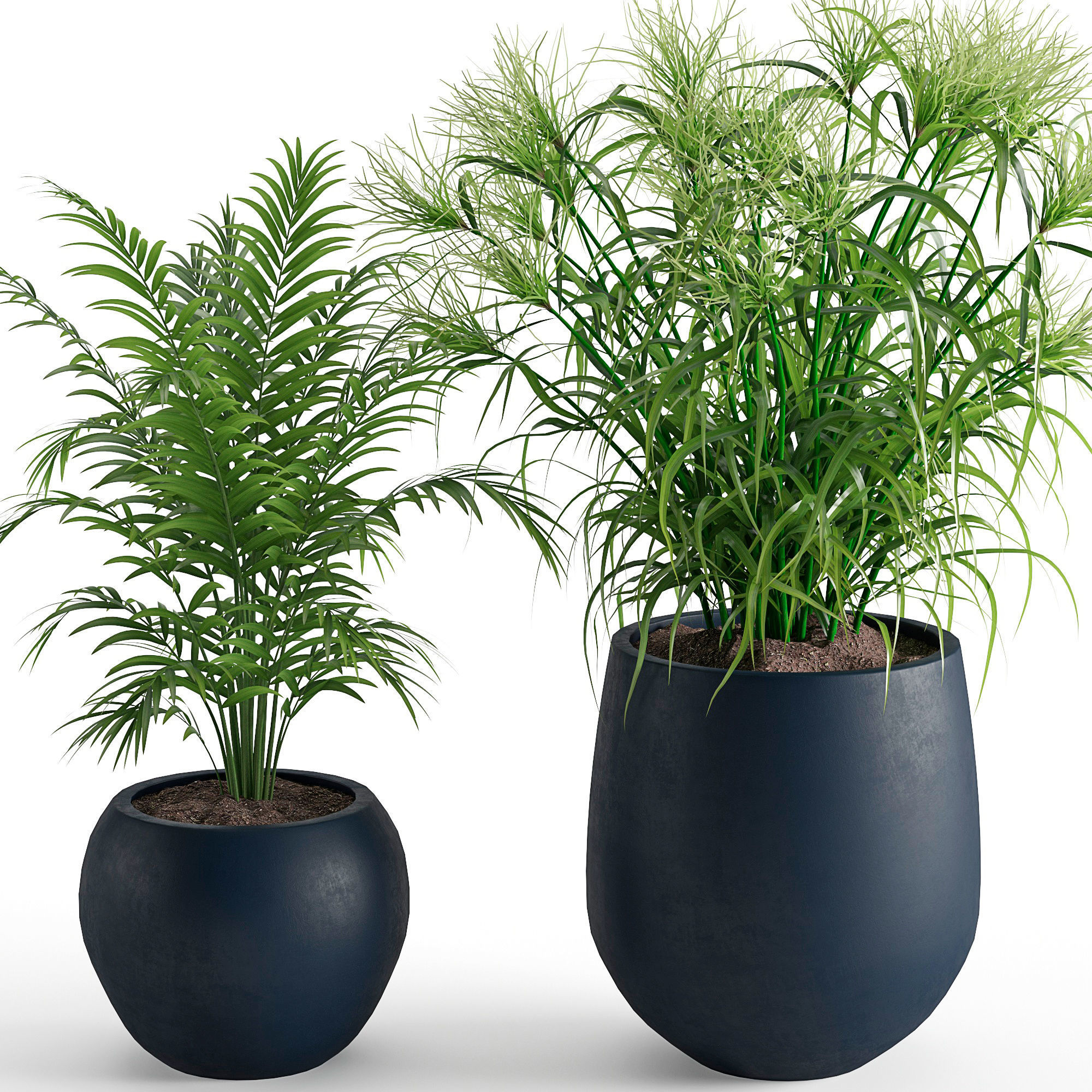 Houseplant 40 3D model_6