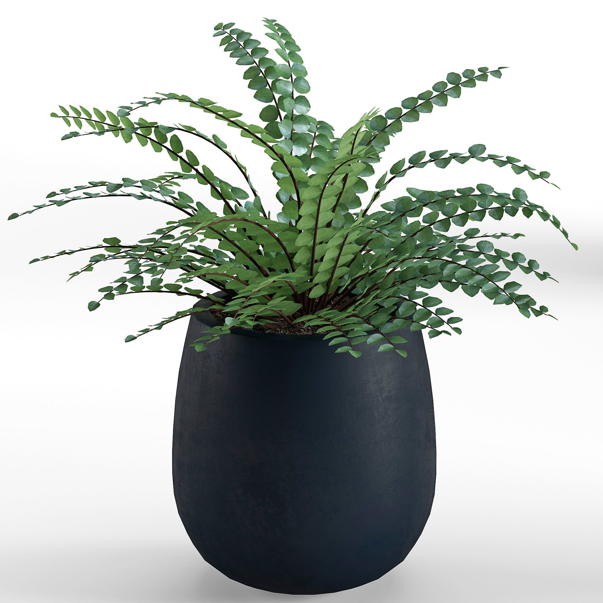 Houseplant 40 3D model_2