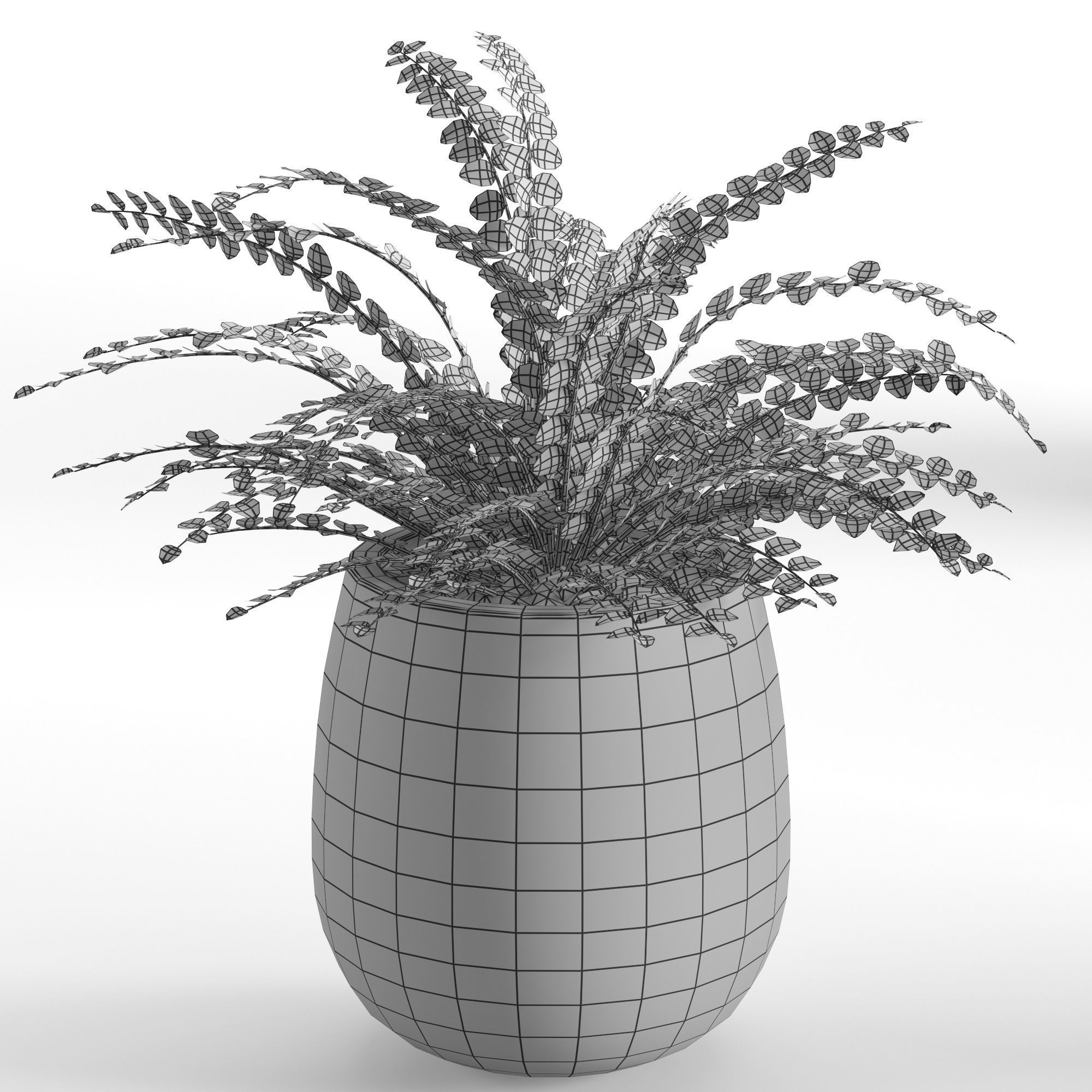 Houseplant 40 3D model_1