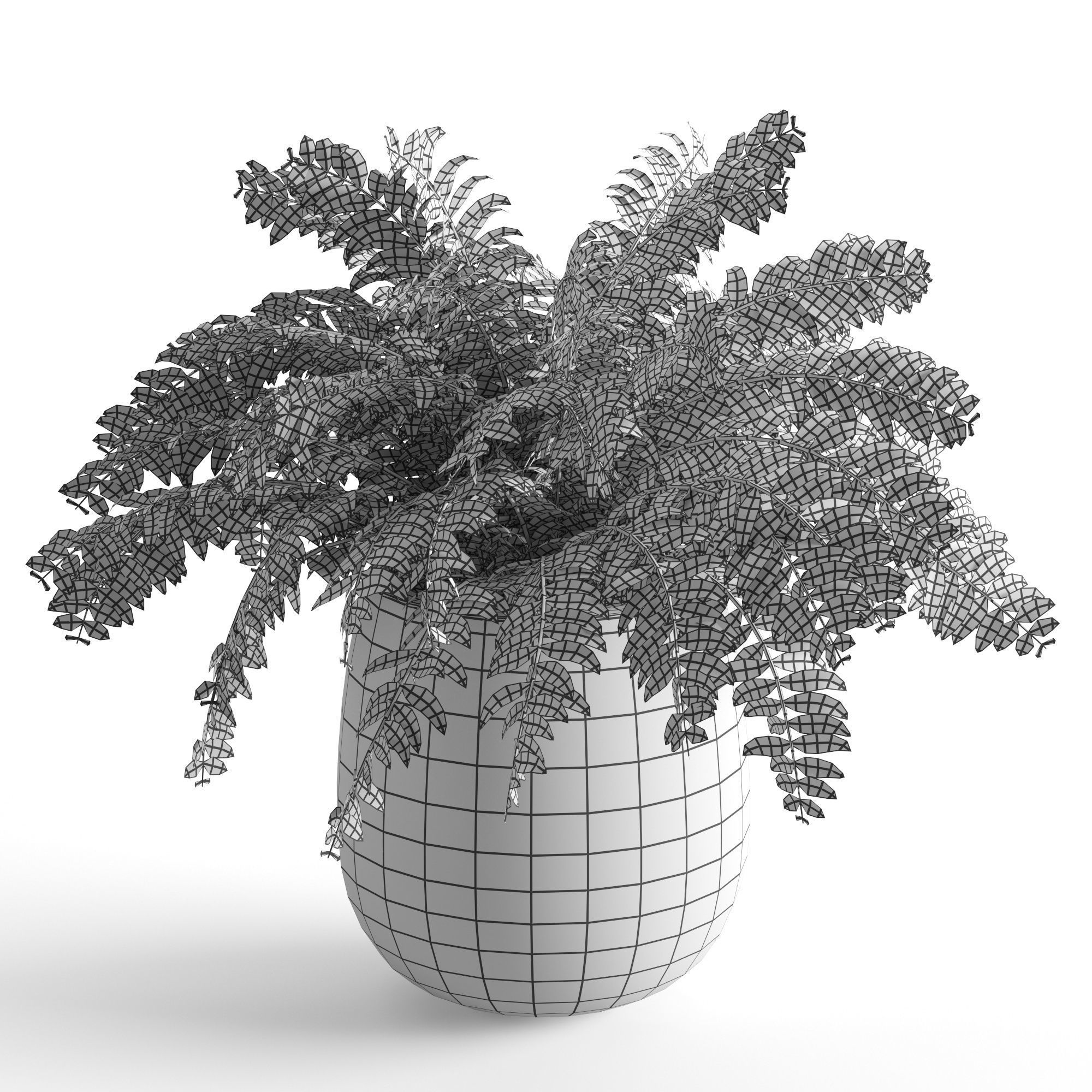 Houseplant 40 3D model_9