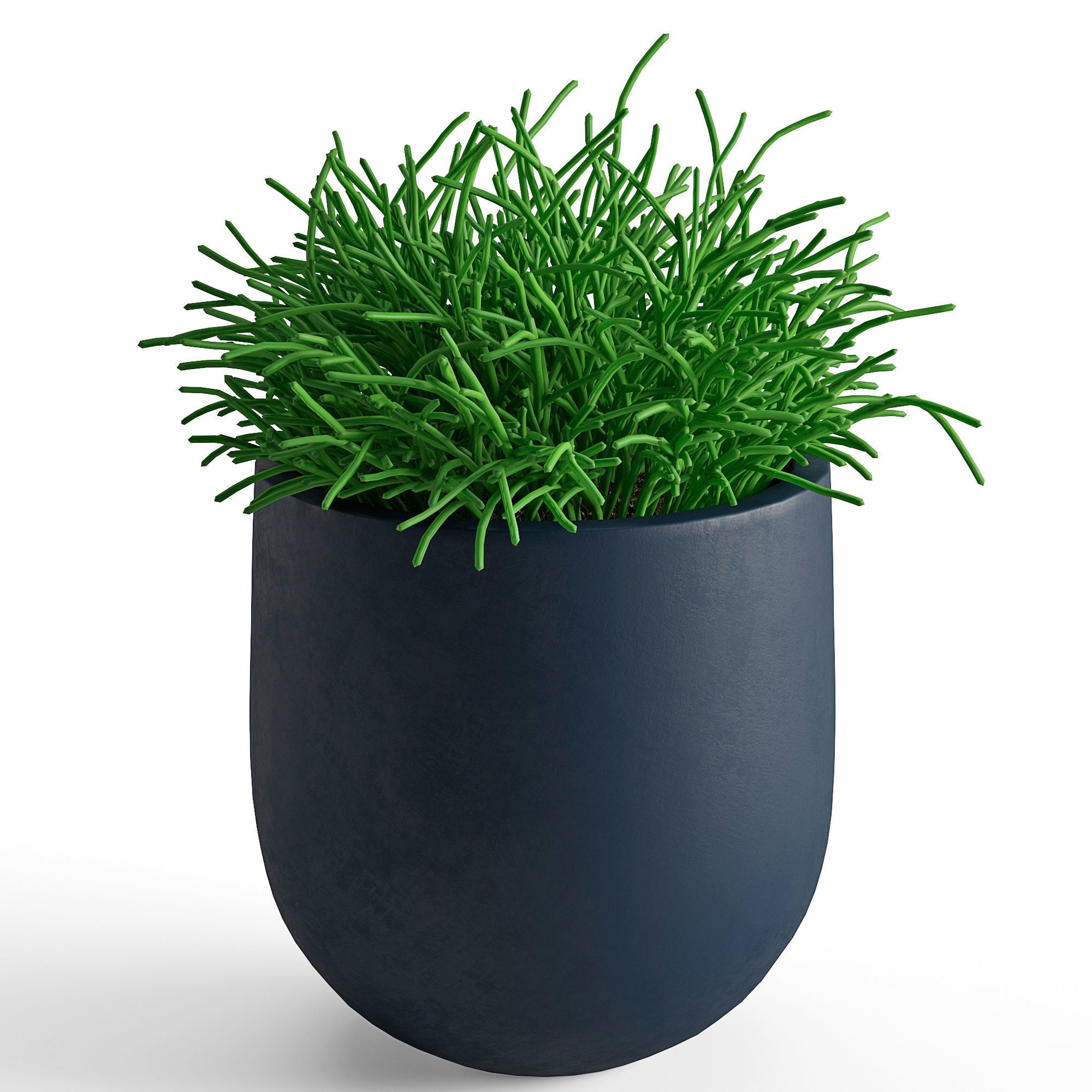 Houseplant 40 3D model_3