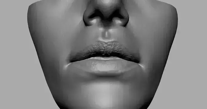 Female Lip 3D print model
