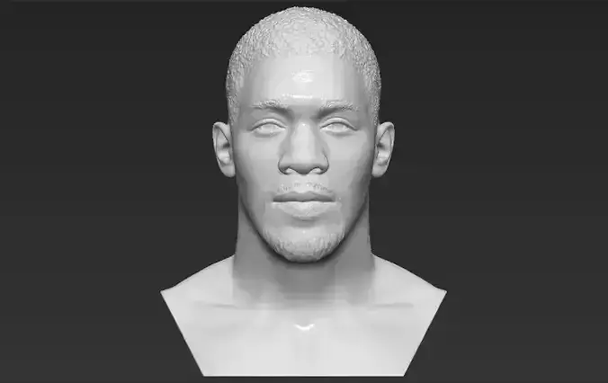 Anthony Joshua bust 3D printing ready stl obj formats 3D print model