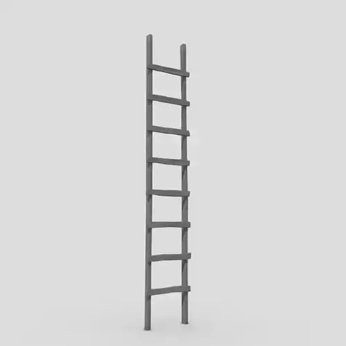 Ladder