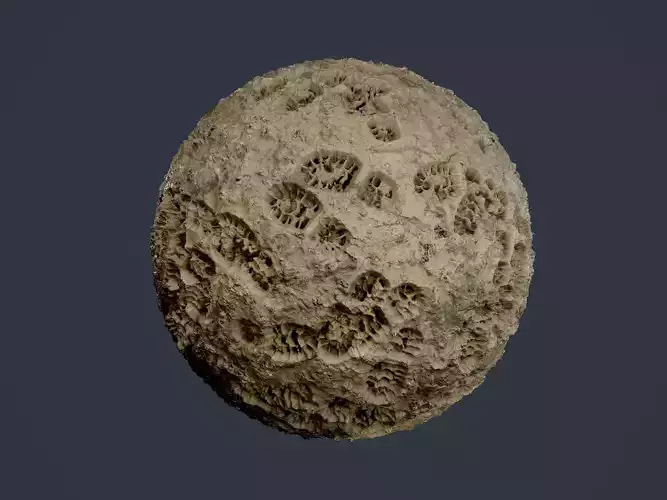 Mud Ground Dirt Terrain Foot Prints Seamless PBR Texture