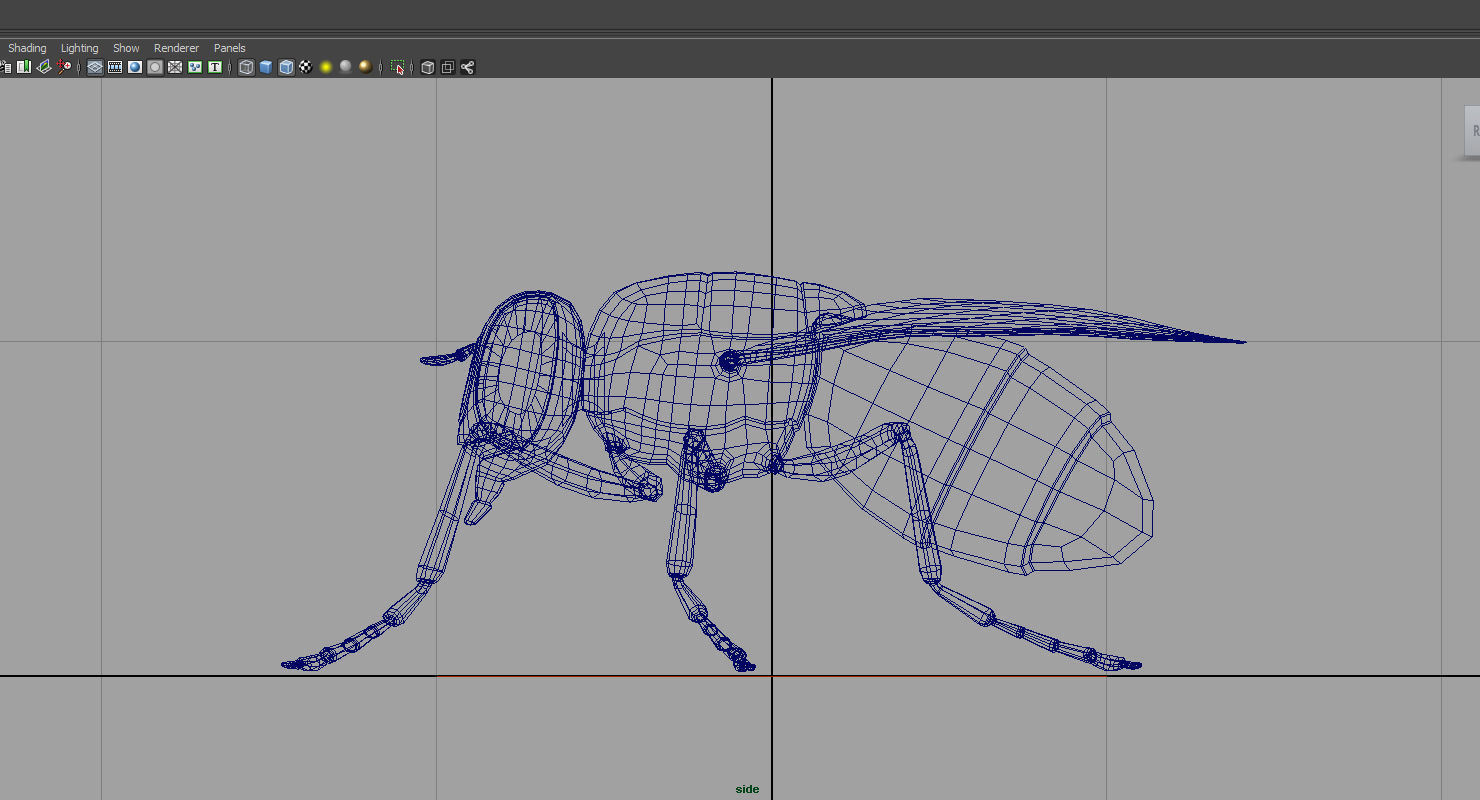 housefly 3d model fly 3D model_6