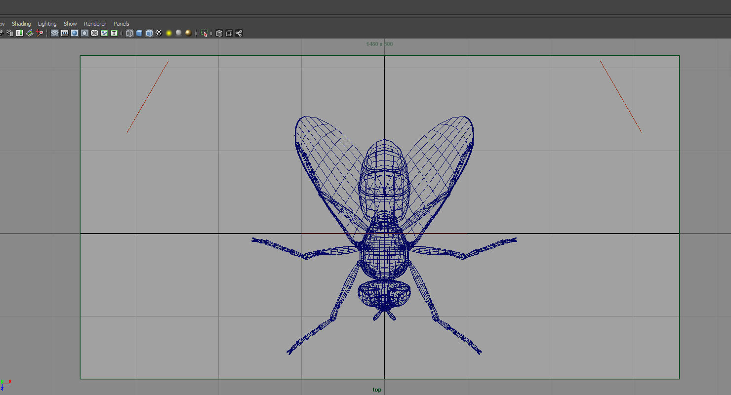 housefly 3d model fly 3D model_7