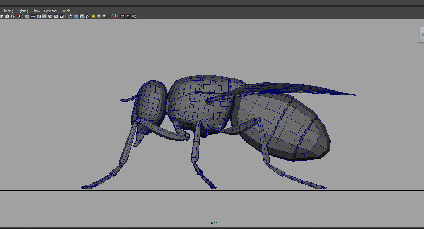 housefly 3d model fly 3D model_5