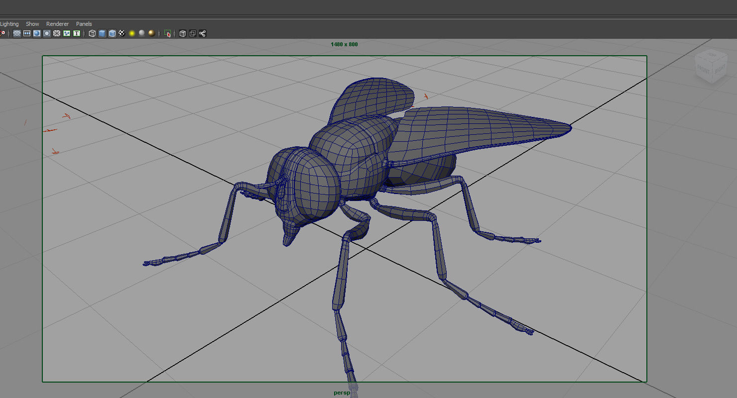 housefly 3d model fly 3D model_4