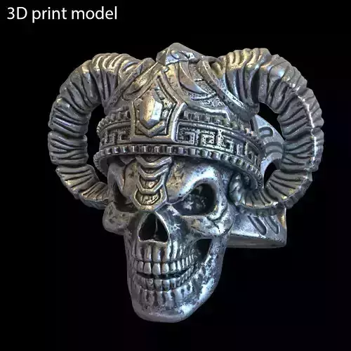 skull ring jewelry demon vol4 