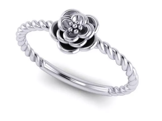 Braided ring 3D print model_0