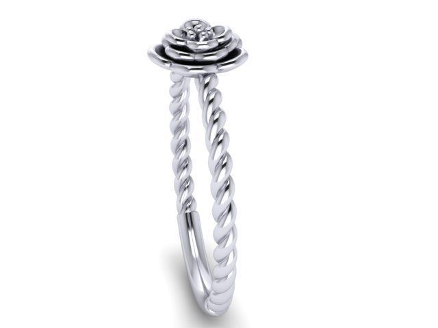 Braided ring 3D print model_2