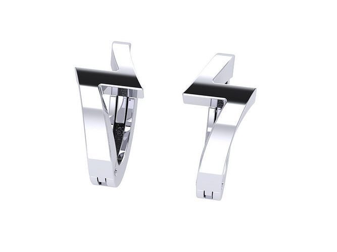Hinged earrings  3D print model
