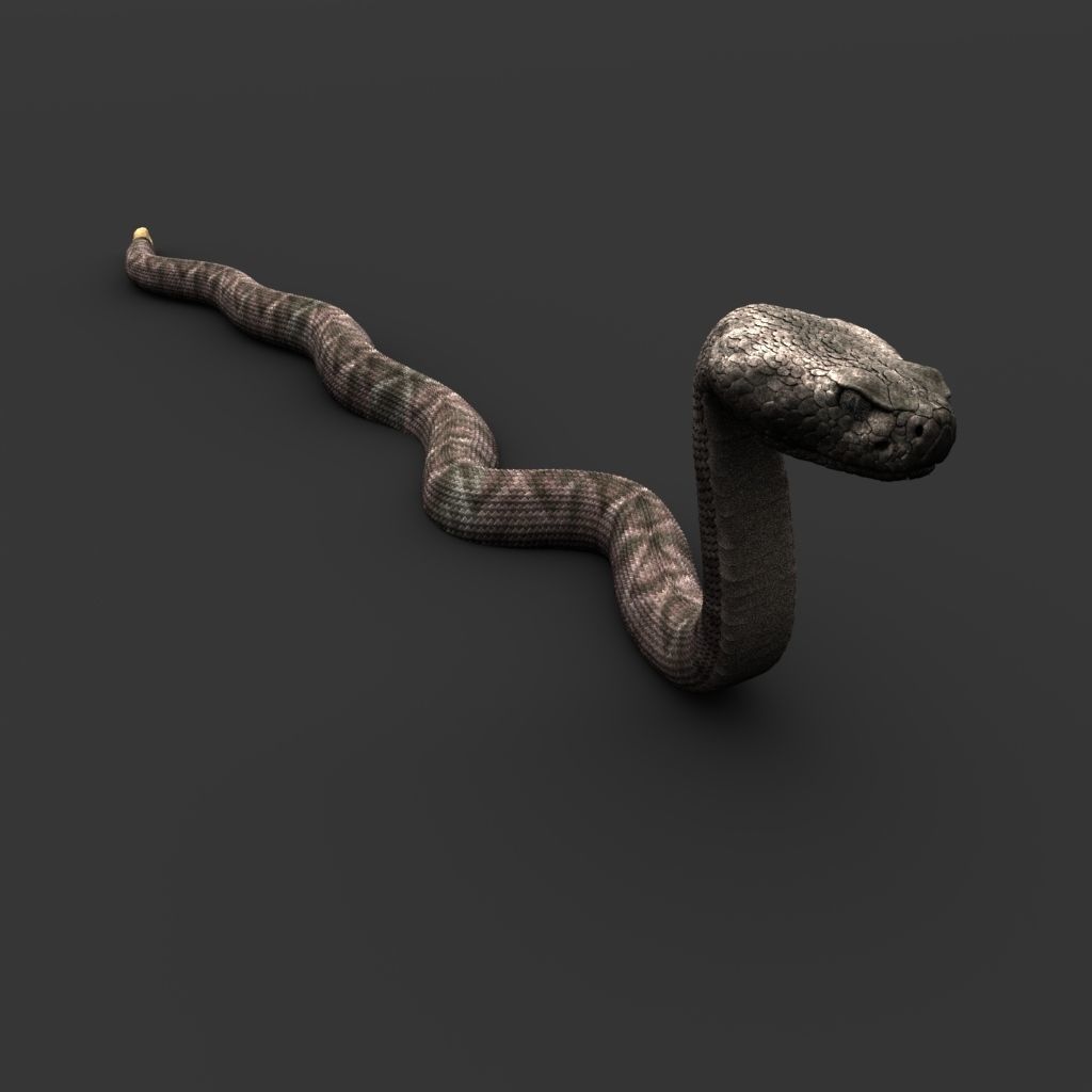 Snake 3D model_1