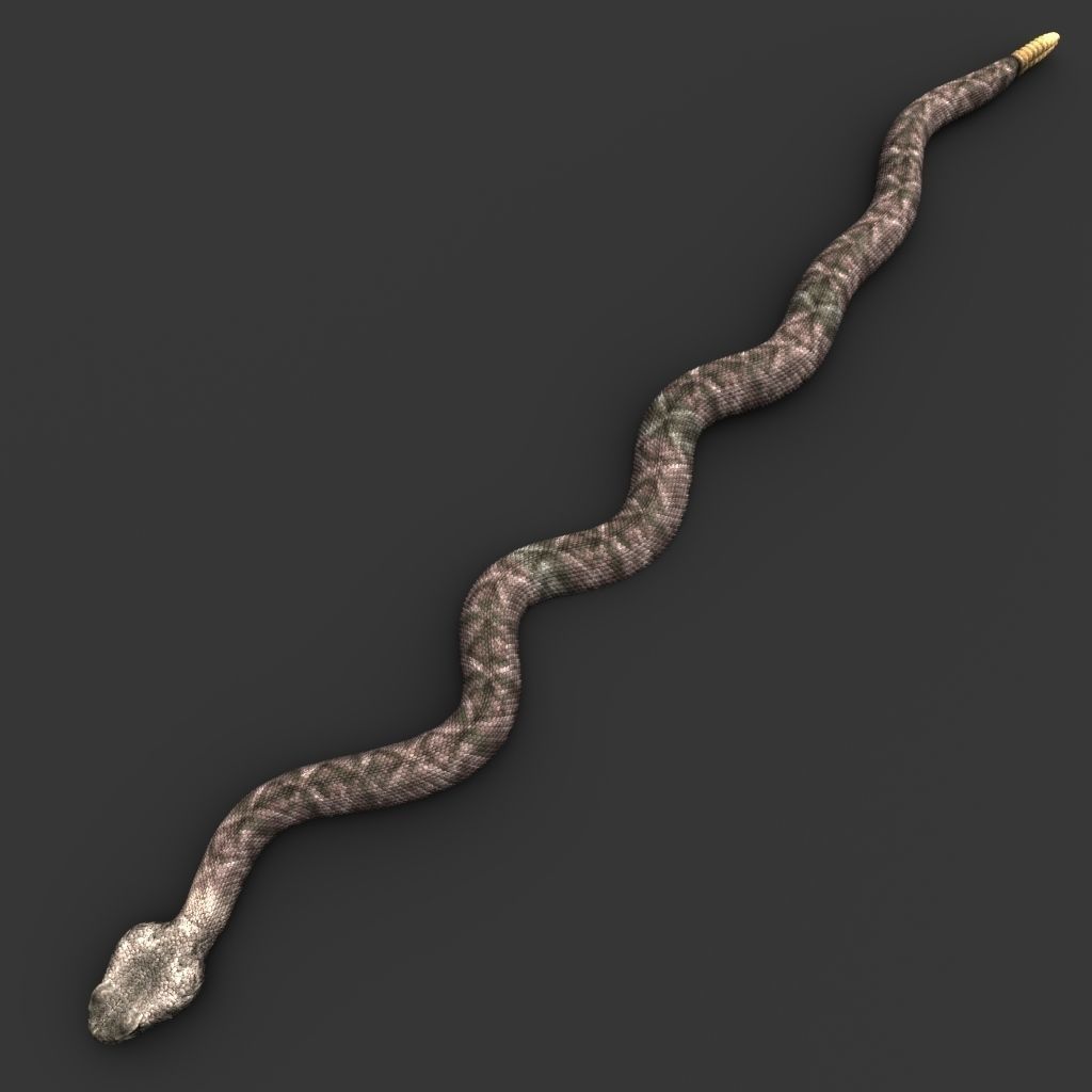 Snake 3D model_5