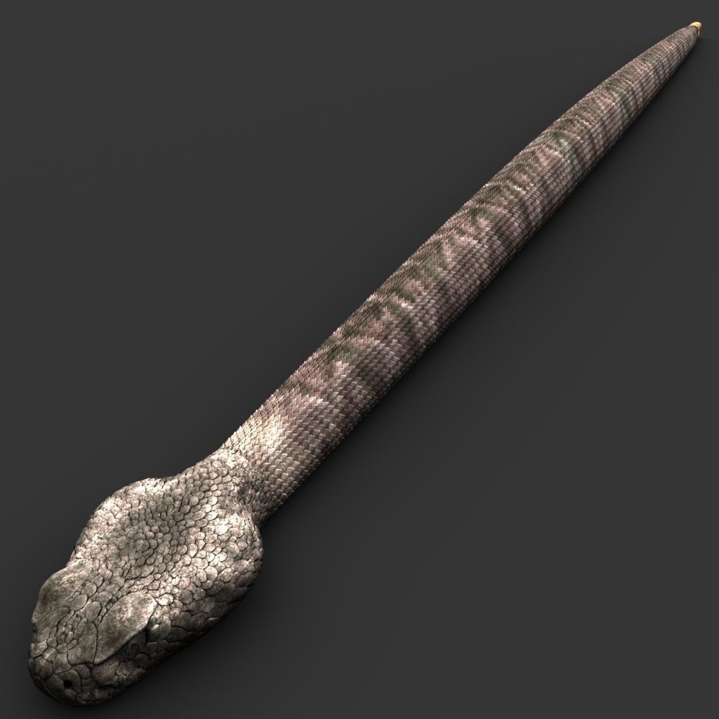 Snake 3D model_2